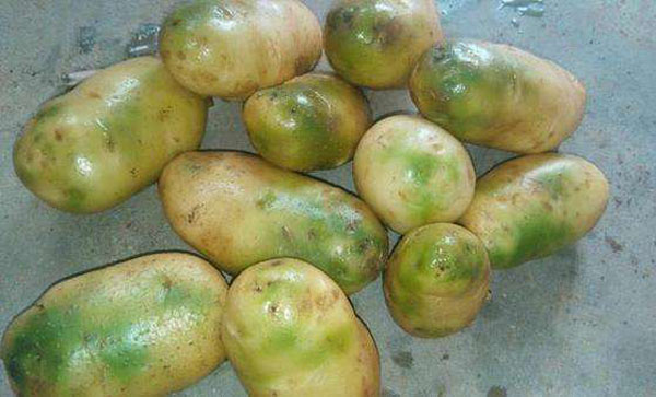 �����ͼ�����һ����� ��������һ�������ж���